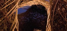 Patrick Dougherty