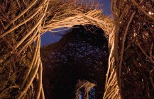 Patrick Dougherty