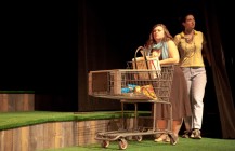 Swimming in the Shallows (d-478)