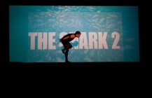 Swimming in the Shallows (d-516)